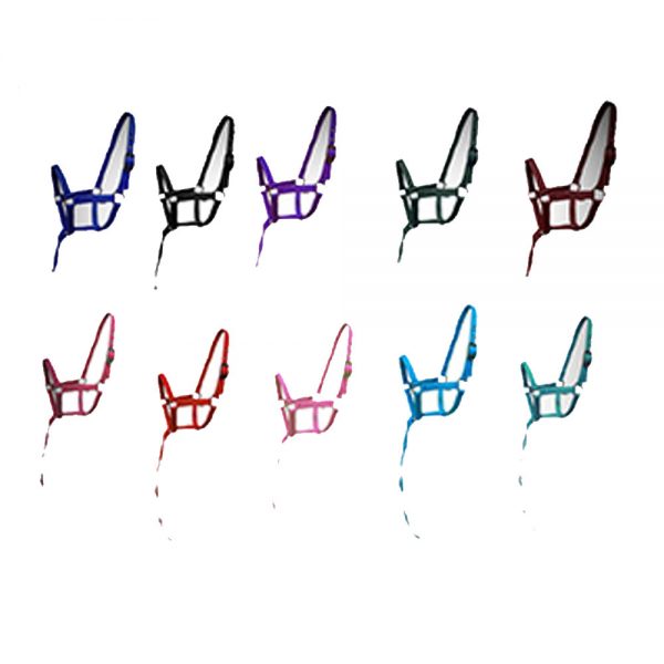 Beautiful-Foal-Halters Beautiful-Foal-Halters