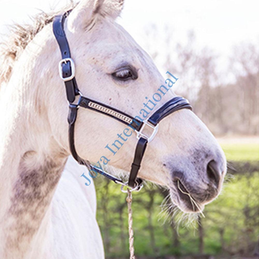 Black-leather-lack-halter-with-strass Black-leather-lack-halter-with-strass