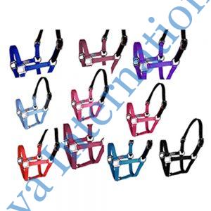 Breakaway Crown Nylon Halter