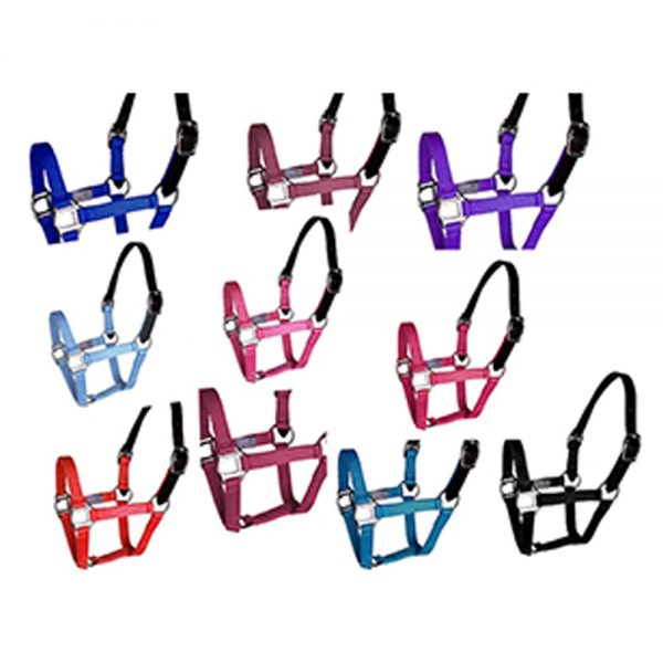 Breakaway-Crown-Nylon-Halter Breakaway-Crown-Nylon-Halter