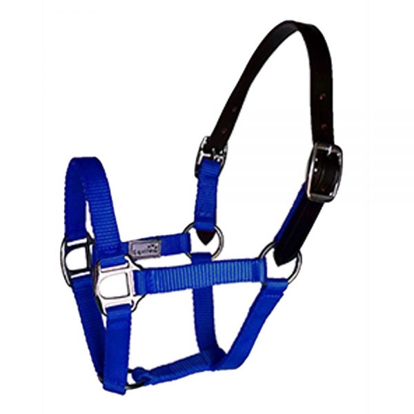 Breakaway-Crown-Nylon-Halter1 Breakaway-Crown-Nylon-Halter1