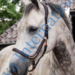 Brown leather halter anatomic rose gold