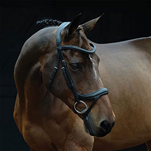 Collegiate-ComFiTec-Vogue-Anatomical-Bridle