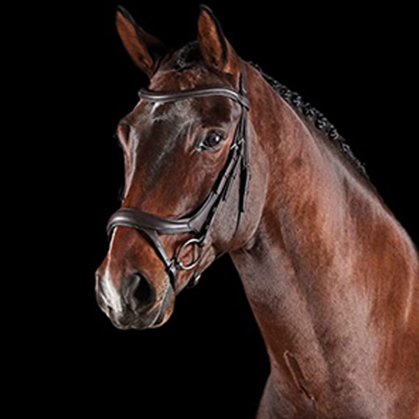 Collegiate-ComFiTec-Vogue-Anatomical-Bridle1