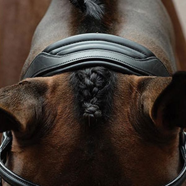 Collegiate-Comfitec-Vogue-Anatomical-Bridle-21