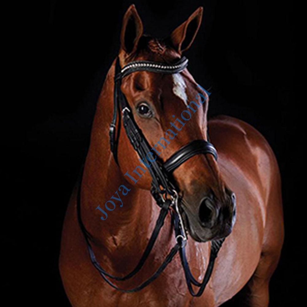 Collegiate-Shaped-Crystal-Crank-Weymouth-Bridle Collegiate-Shaped-Crystal-Crank-Weymouth-Bridle