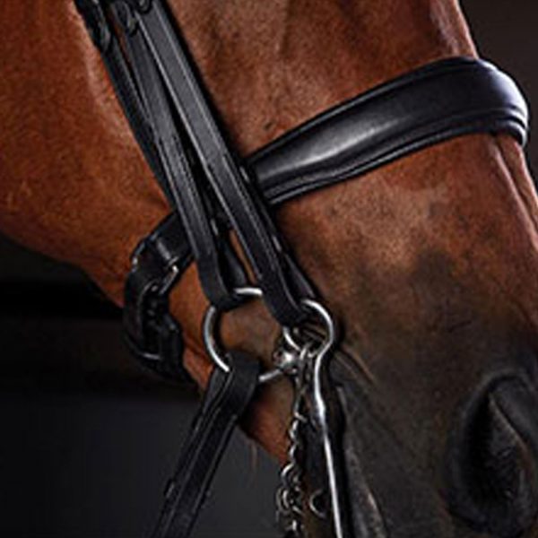 Collegiate-Shaped-Crystal-Crank-Weymouth-Bridle2 Collegiate-Shaped-Crystal-Crank-Weymouth-Bridle2
