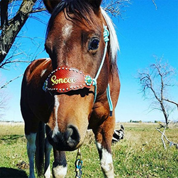 Custom-Bronc-Noseband-with-Premium-Yacht-Rope-Halter