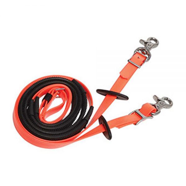 Endurance-Reins4 Endurance-Reins4