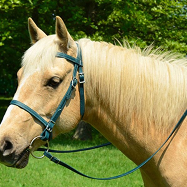 English-Bridle-&-Reins2