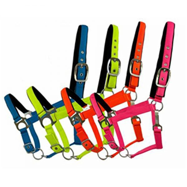 Fluorescent-Nylon-Neoprene-Lined-Adjustable-Halter