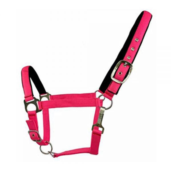 Fluorescent-Nylon-Neoprene-Lined-Adjustable-Halter1