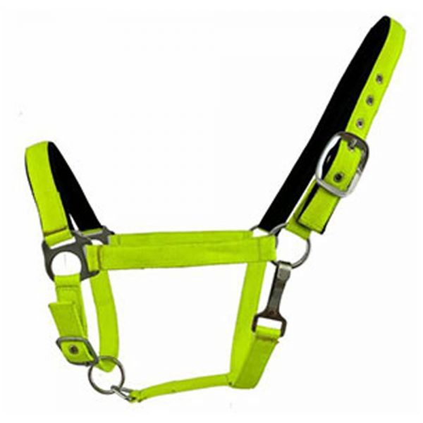 Fluorescent-Nylon-Neoprene-Lined-Adjustable-Halter3