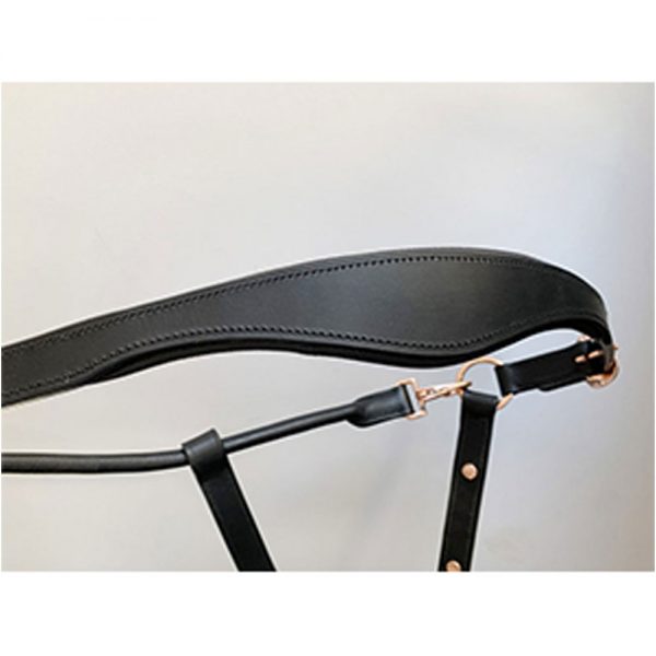 Gold-Leather-Halter1 Gold-Leather-Halter1