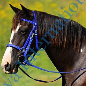 Horse Pvc Bridle Made in India