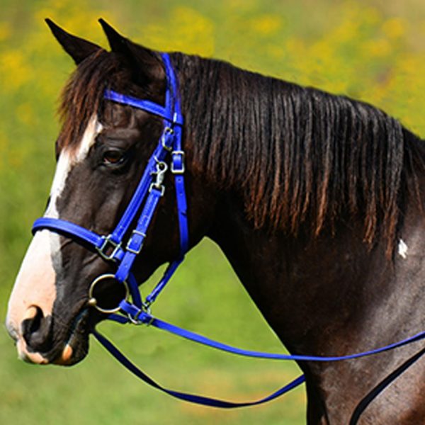 Halter-Bridle-&-Reins-with-Bit-Hangers Halter-Bridle-&-Reins-with-Bit-Hangers