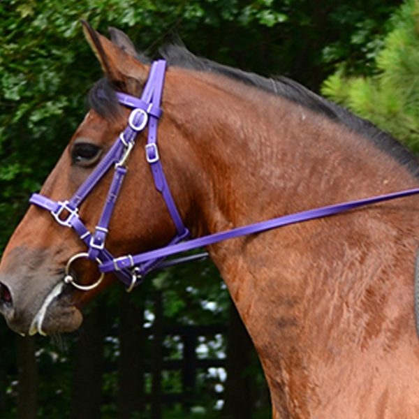 Halter-Bridle-&-Reins-with-Bit-Hangers3 Halter-Bridle-&-Reins-with-Bit-Hangers3