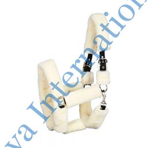 Harry's Horse Halter Teddy