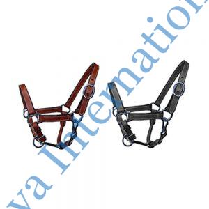 Horse Mini Leather Halter Manufacturer in India