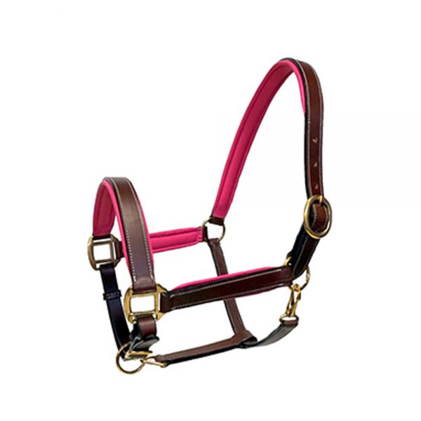 Mini-or-Pony--Brown-Or-Black-Everyday-leather-halter1