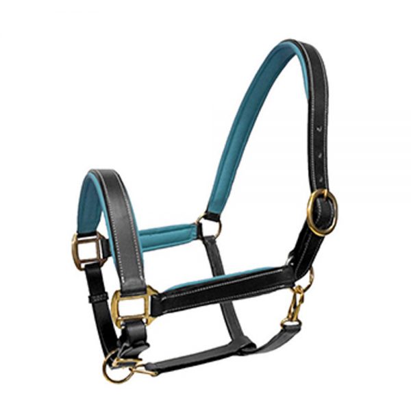 Mini-or-Pony--Brown-Or-Black-Everyday-leather-halter2 Mini-or-Pony--Brown-Or-Black-Everyday-leather-halter2