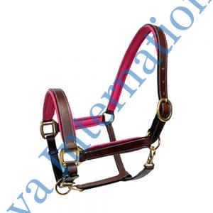 Horse Brown Show Leather Halter with Pink & Teal Blue Padding
