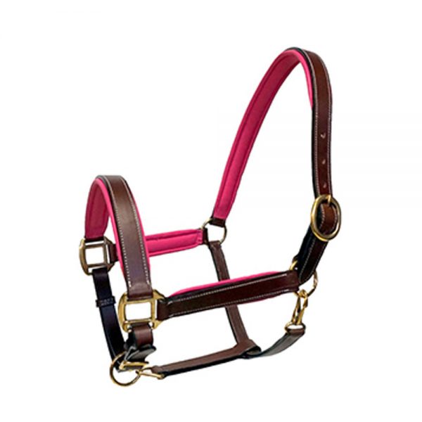 Rich-Brown-Or-Black-track-show1 Rich-Brown-Or-Black-track-show1