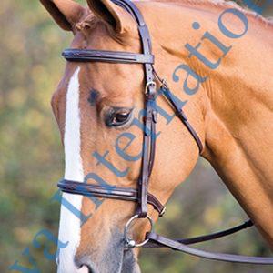 Luxury colorful Genuine Leather Horse Bridle in India