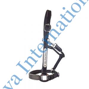 Horse Leather Halter With Silver Name Plate