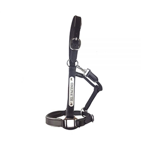 Silver-Leather-Halter Silver-Leather-Halter