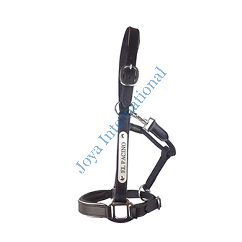 Silver-Leather-Halter Silver-Leather-Halter