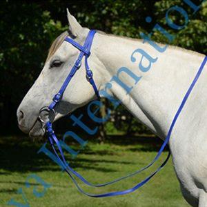 Western Pvc Bridle Manufacturer in India