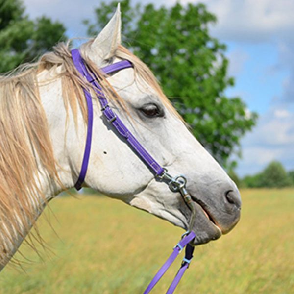 Western-Bridle-&-Reins2