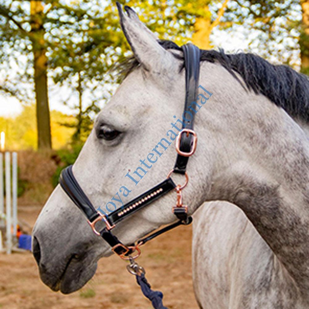 rose-goldpink-Leather-halter rose-goldpink-Leather-halter