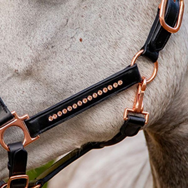 rose-goldpink-Leather-halter3 rose-goldpink-Leather-halter3