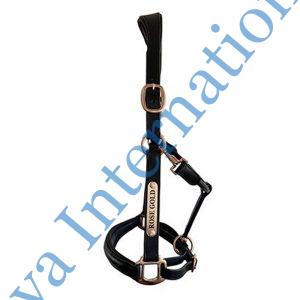 Horse Leather Halter with Gold Name Plate