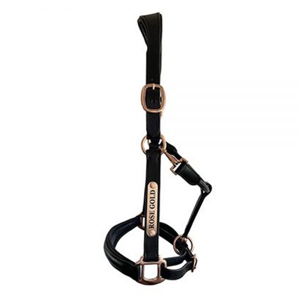 Leather-Halter Leather-Halter