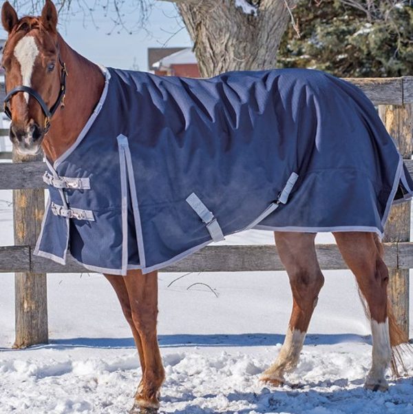 1200-DNR-Horse-Winter-Rugs