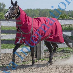 New Collection 1200d 200g Winter Horse Rug Wholesale Price Turnout Lightweight Rug At Lowest Price 1200 Denier Ripstop Shell Turnout