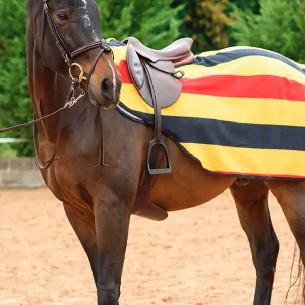 Best-Quality-Horse-Exercise-Breathable-Fleece-Rug-Sheet-Half-Blanket-2
