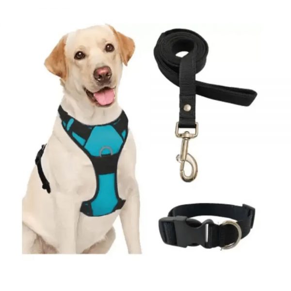 Dog-Harness-Full-BodyBelt-Adjustable-Labrador-Small-Medium-&-Large-Dogs-Puppies-Dog-Standard-Harness-1