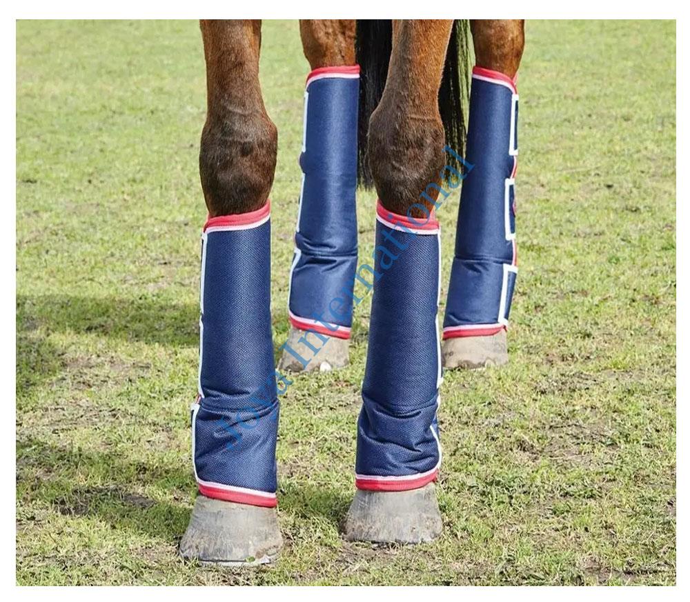 HORSE-Travel-Boots-1 HORSE-Travel-Boots-1