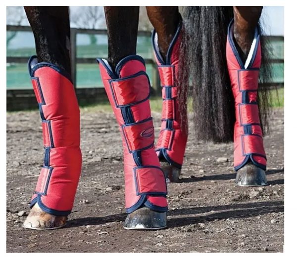 HORSE-Travel-Boots-3 HORSE-Travel-Boots-3