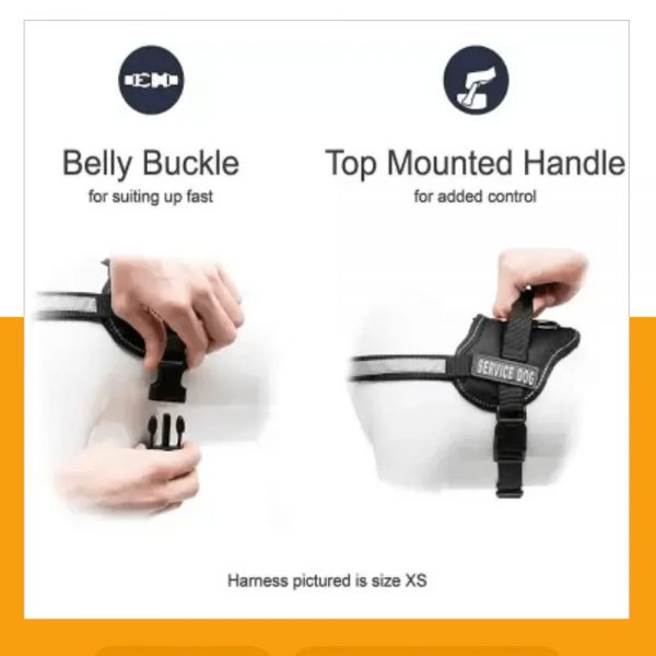 High-Quality-Dog-Harness-(Large-Size,Black-Color)-Dog-Standard-Harness-2 High-Quality-Dog-Harness-(Large-Size,Black-Color)-Dog-Standard-Harness-2