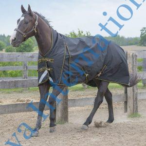 Horse Rugs with Reflective chest Color Navy With Yellow Binding