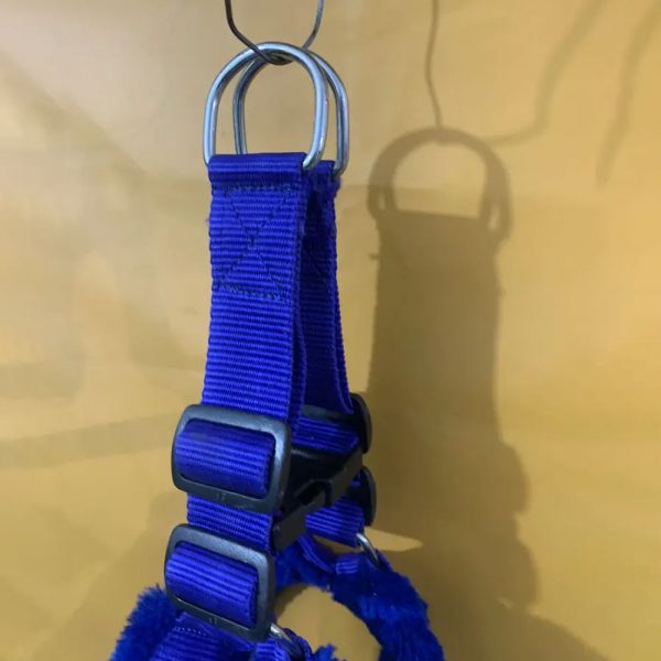 Nylon-Padded-Red-Adjustable-Dog-Harness-&-Dog-Leash-Rope-3 Nylon-Padded-Red-Adjustable-Dog-Harness-&-Dog-Leash-Rope-3