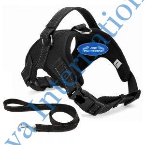 Pull Dog Harness, Breathable Adjustable Comfort, Free Leash Included, for Small Medium Large Dog, Best for Training Walking