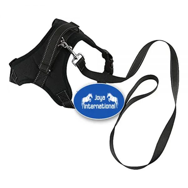 Pull-Dog-Harness,-Breathable-Adjustable-Comfort,-Free-Leash-Included,-for-Small-Medium-Large-Dog,-Best-for-Training-Walking-2