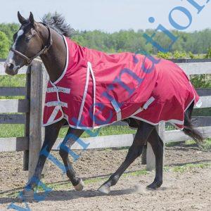 Red Color Winter Horse Rugs Manufacturers