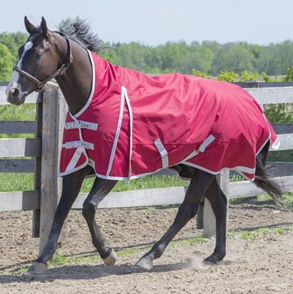 Red-Color-Winter-Horse-Rugs-Manufacturers